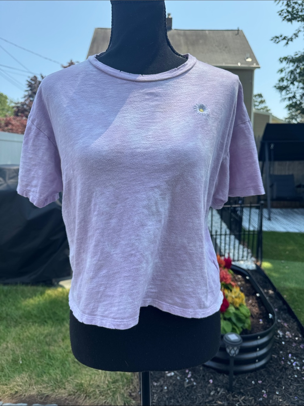 Lavender Daisy Embroidered Crop Tee - Women